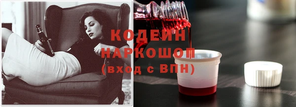 хмурый Аркадак