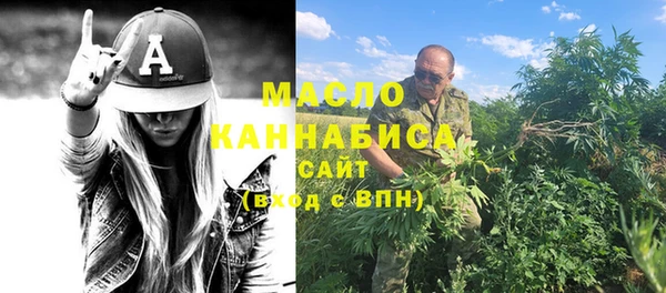 хмурый Аркадак