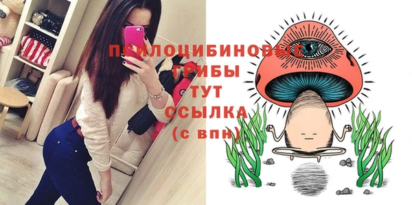 хмурый Аркадак