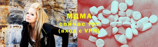 хмурый Аркадак