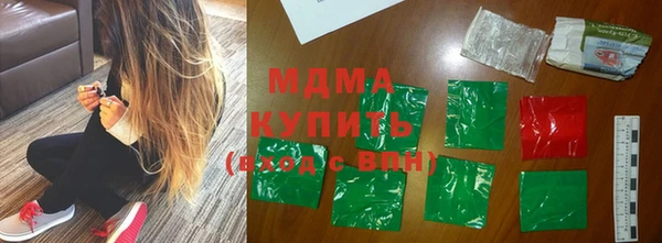 хмурый Аркадак