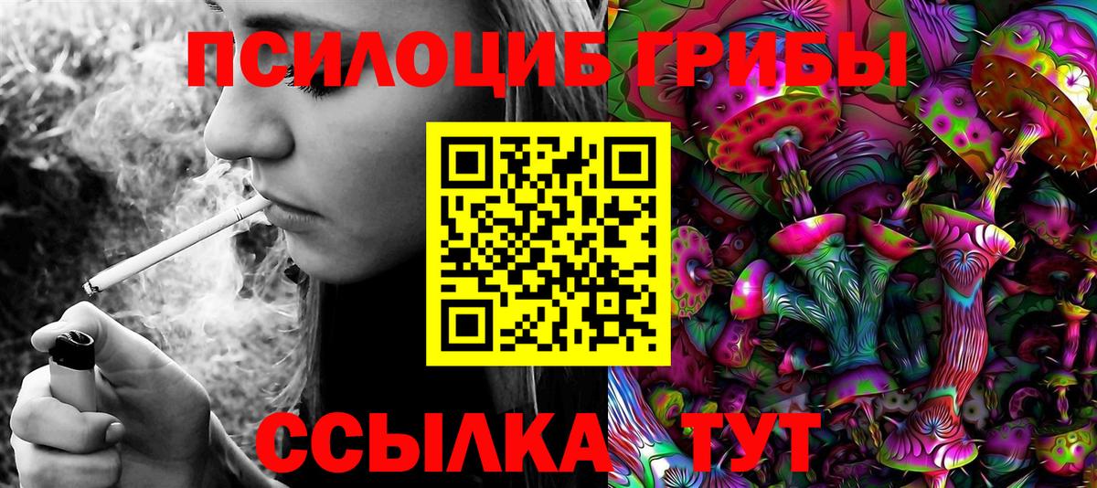 Чернушка  Псилоцибиновые грибы GOLDEN TEACHER  Вход с VPN 